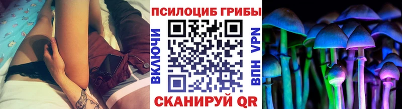 где найти наркотики  Лесной  Галлюциногенные грибы Psilocybine cubensis 
